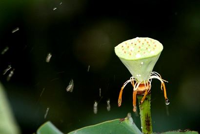总是做噩梦中医如何调理，2种方法改善失眠，前1种自己就能做到