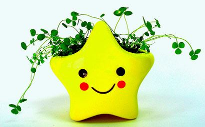 要怎么增加财运风水呢？增加财运风水的知识？