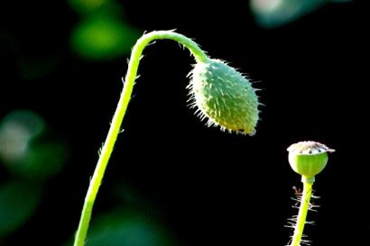黄姓4个字的名字女孩
