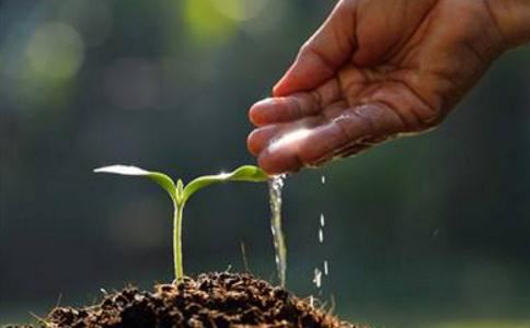 想知道八字二甲是什么意思？先来了解八字算命中的“甲”与“乙”