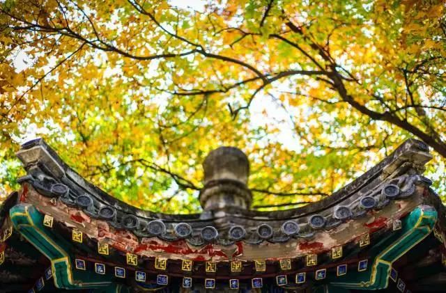 女宝带土字旁的名字大全