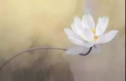 正缘越发稀缺，究竟是哪些原因导致的呢？