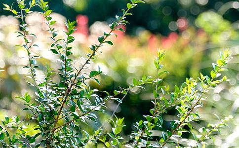 和合术法事成功的四大阻碍，一定要知道