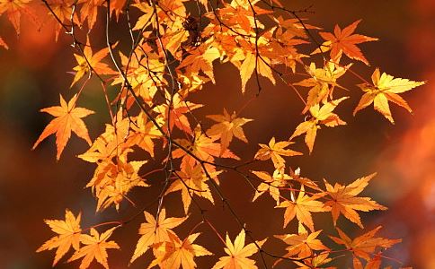 易经中的经典语录为什么易经越看越可怕？