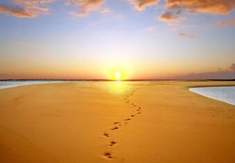 1976年9月是什么命