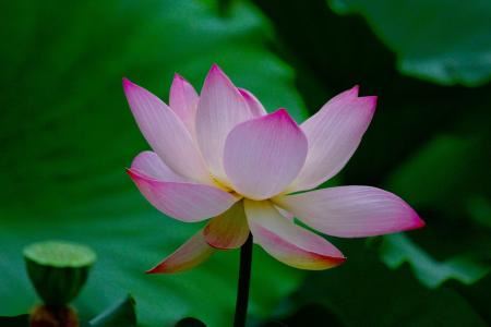 有哪些免费起名的网站