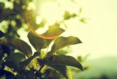 窗户改门风水上有什么讲究，窗户改门有哪些不好的影响？