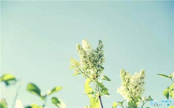 仲字和什么字搭配最好，仲字配什么起名字好听？