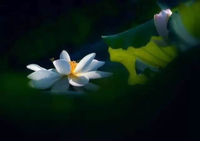 手相真能被随便展示给别人看吗？