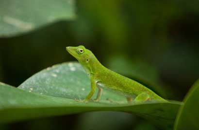 床尾千万别放5样东西