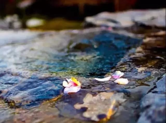 姓何的宝宝取什么名字好一点