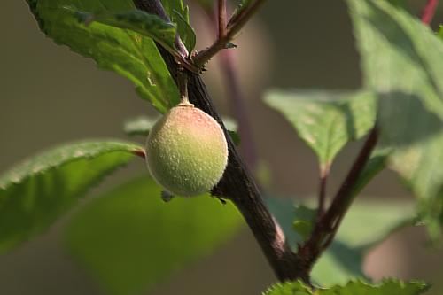 为什么说正午最凶，正午时分最凶？