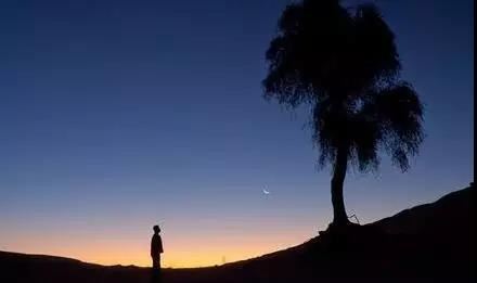 午亥暗合变成什么， 甲午大运暗合？