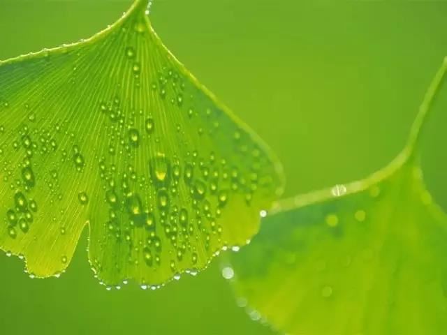 客厅能放镜子吗?什么位置合适