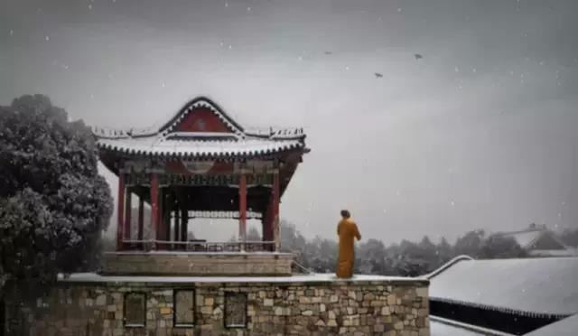 小鸡名字可爱洋气，小鸡名字可爱洋气英文？