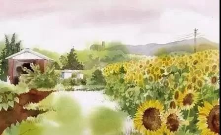 1971年属猪的人运程大全