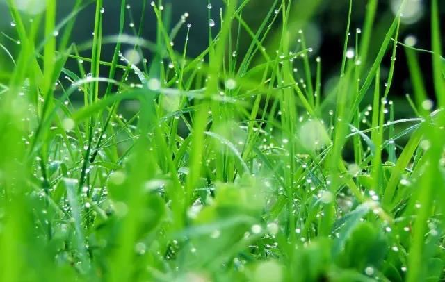 最全的厨房位置风水禁忌有哪些呢，厨房位置与风水的讲究是什么？