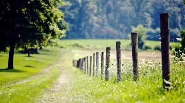 87年生的人是什么命格女人