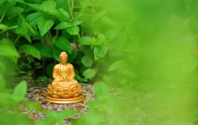 金字旁适合女孩名字