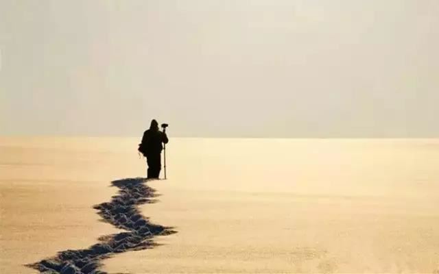 春暧花开十二生肖是什么?