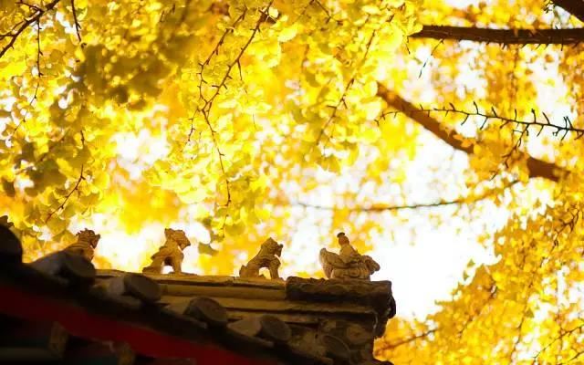 十二星座在爱情中的闪光点分别是什么?