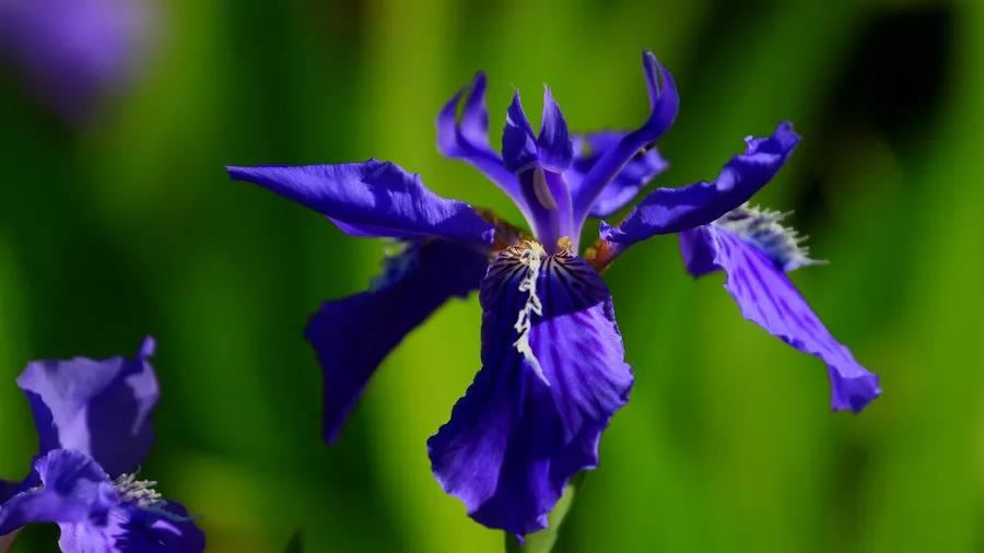 星座的上升星座怎么查询如何查询星座上升星座