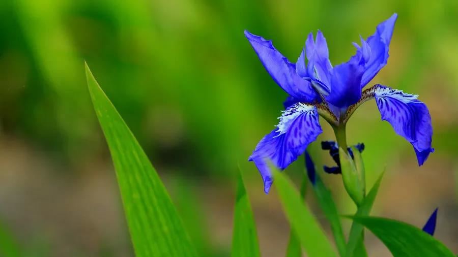 天蝎座的爱情 天蝎座的爱情指数