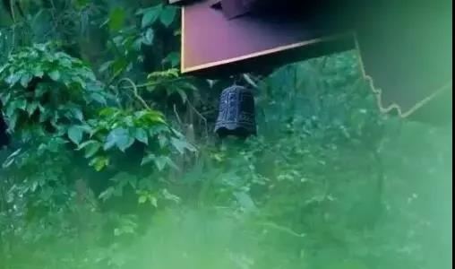 1991年属羊男婚姻命运如何讲解，1991年属羊有几次婚姻？