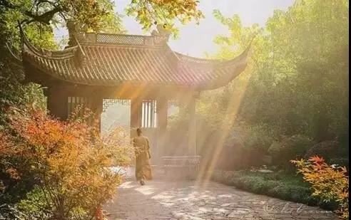 都说红花绿叶配是什么生肖，亲密无间代表哪个生肖？