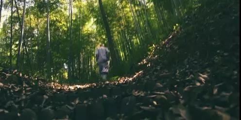 对面店铺全是玻璃风水化解,教你怎么布置店铺吸财气