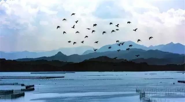 朗朗上口的名字（名字朗朗上口的规则）