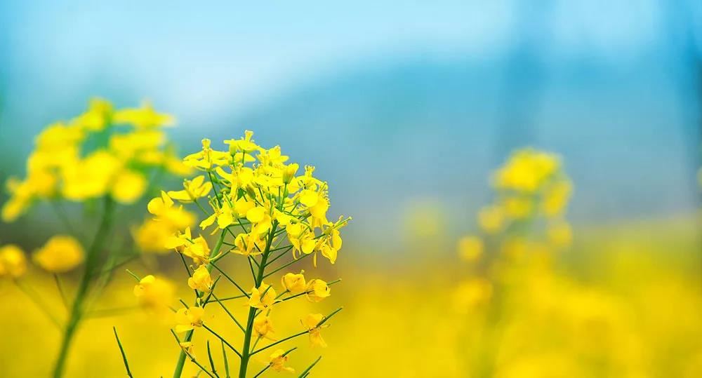 搬家净宅最简单的方法