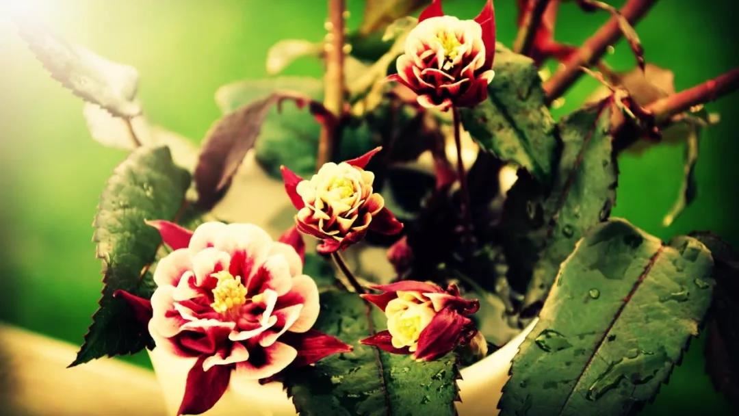 如何看懂自己的八字阴阳表？