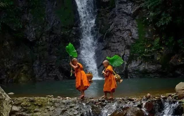 男孩带土带木的好听名字