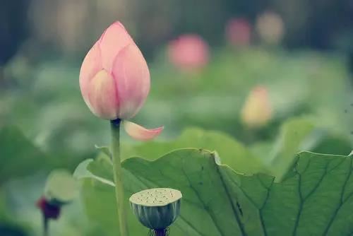 郝姓男孩起名大全两个字