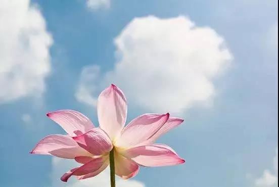 为什么杀印相生一事无成？