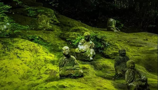 张姓取名一个字大全男 张姓取名一个字男生