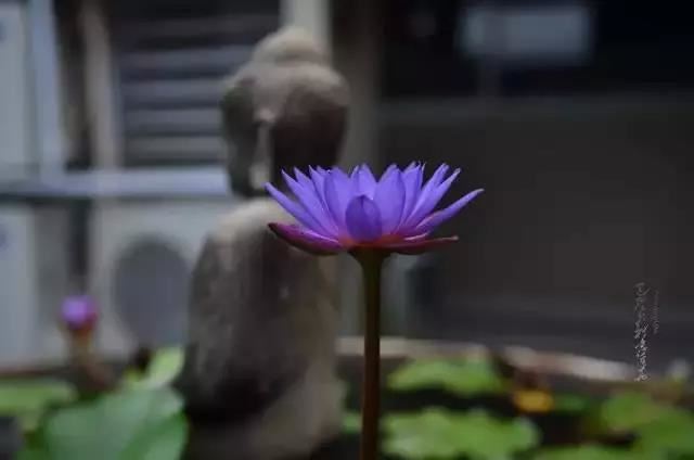 起名打分测试免费打分