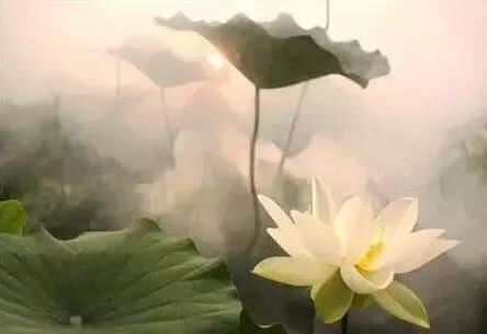 韩姓四个字名字男孩兔宝 韩姓四个字名字大全女孩