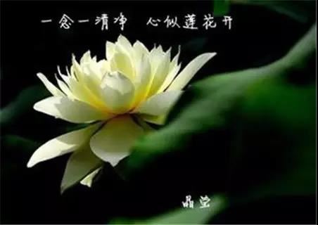 1924属相是什么 1924属相是什么生肖