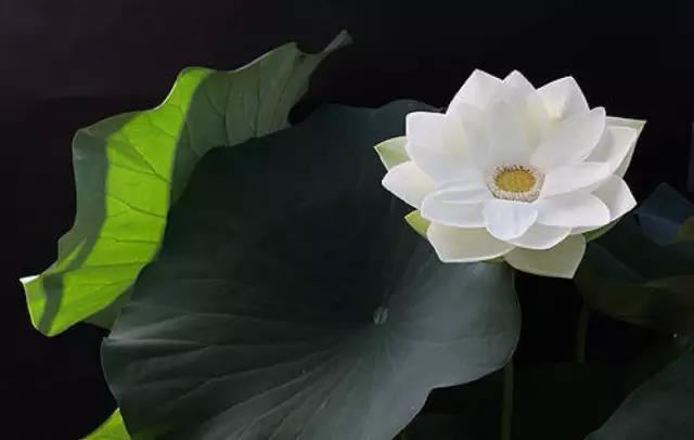 男人旺事业财运的名字微信名