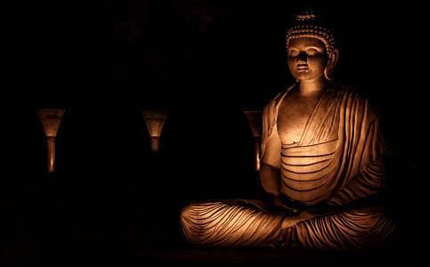 红玫瑰花语是什么意思？