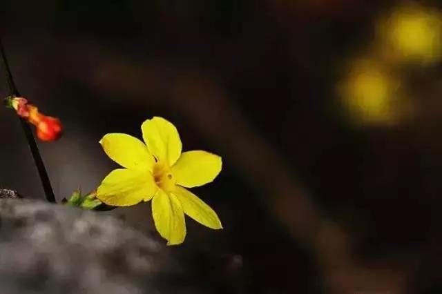 男孩名字蛇宝宝怎么取名好听些