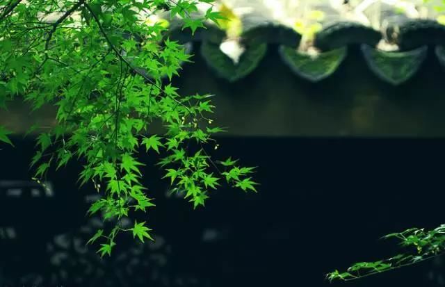 老公出轨了怎么挽回老公?道家夫妻和合术挽回