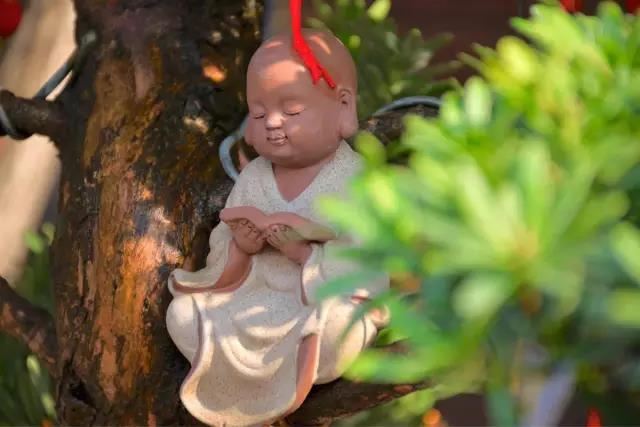 绿幽灵和什么属相犯冲，什么人适合佩戴绿幽灵？