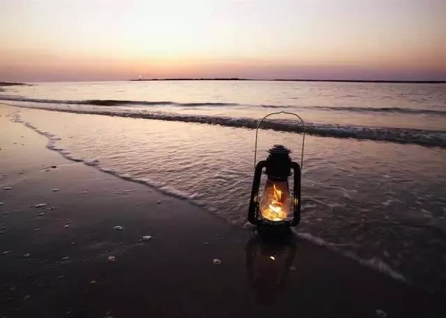 我的小姨小说百度网盘