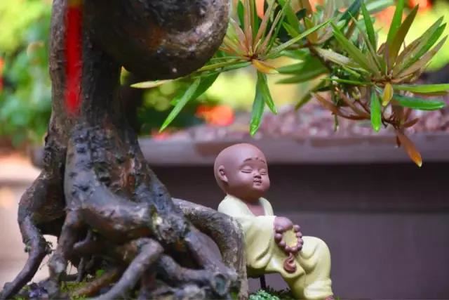 驳婚煞破了能好吗什么八字命理易离婚