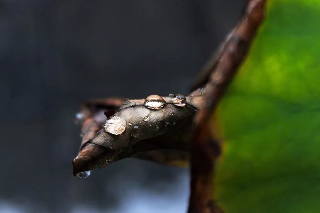 念旧的人是什么样的人？