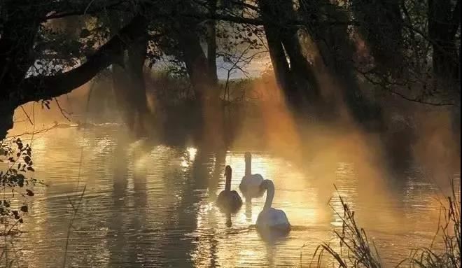 时辰断兄弟姐妹个数