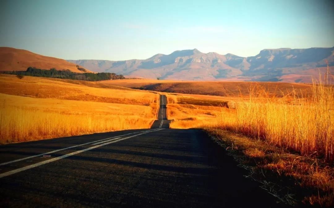 徐姓女孩取名牛年